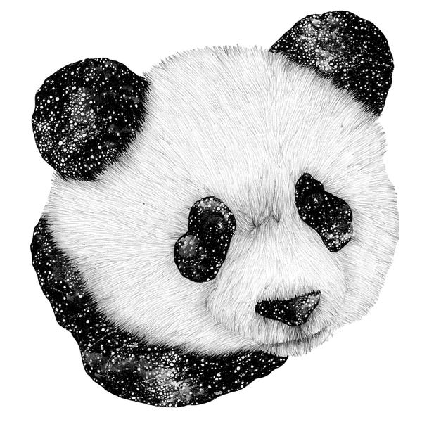 Embellished Animals: Cosmic Panda by Ella Mazur