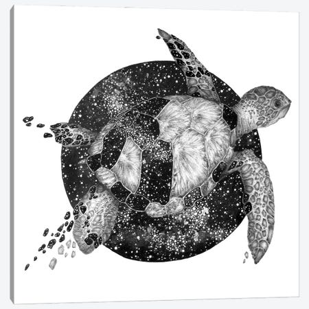 Cosmic Turtle Canvas Print #EMZ54} by Ella Mazur Canvas Art