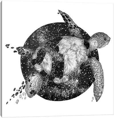 Cosmic Turtle Canvas Art Print - Embellished Animals