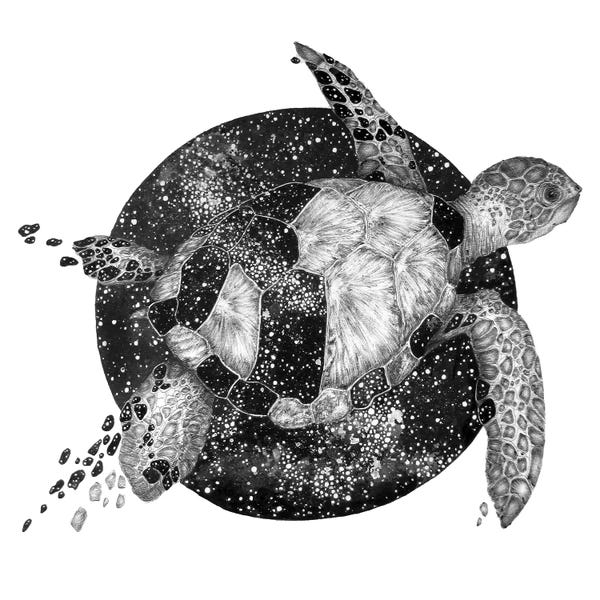 Embellished Animals: Cosmic Turtle by Ella Mazur