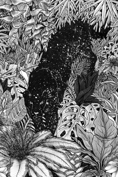 Black & White Florals: The Jungle At Night by Ella Mazur