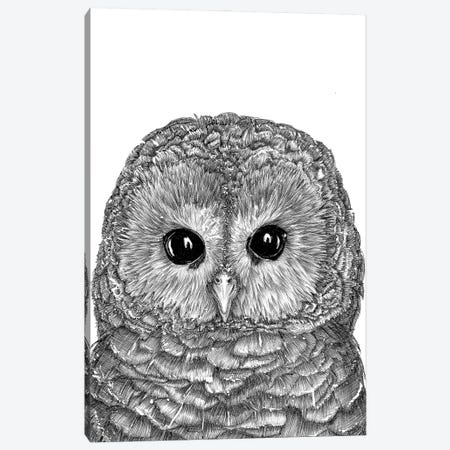 Tiny Owl Canvas Print #EMZ58} by Ella Mazur Art Print
