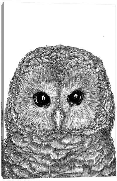 Tiny Owl Canvas Art Print - Ella Mazur