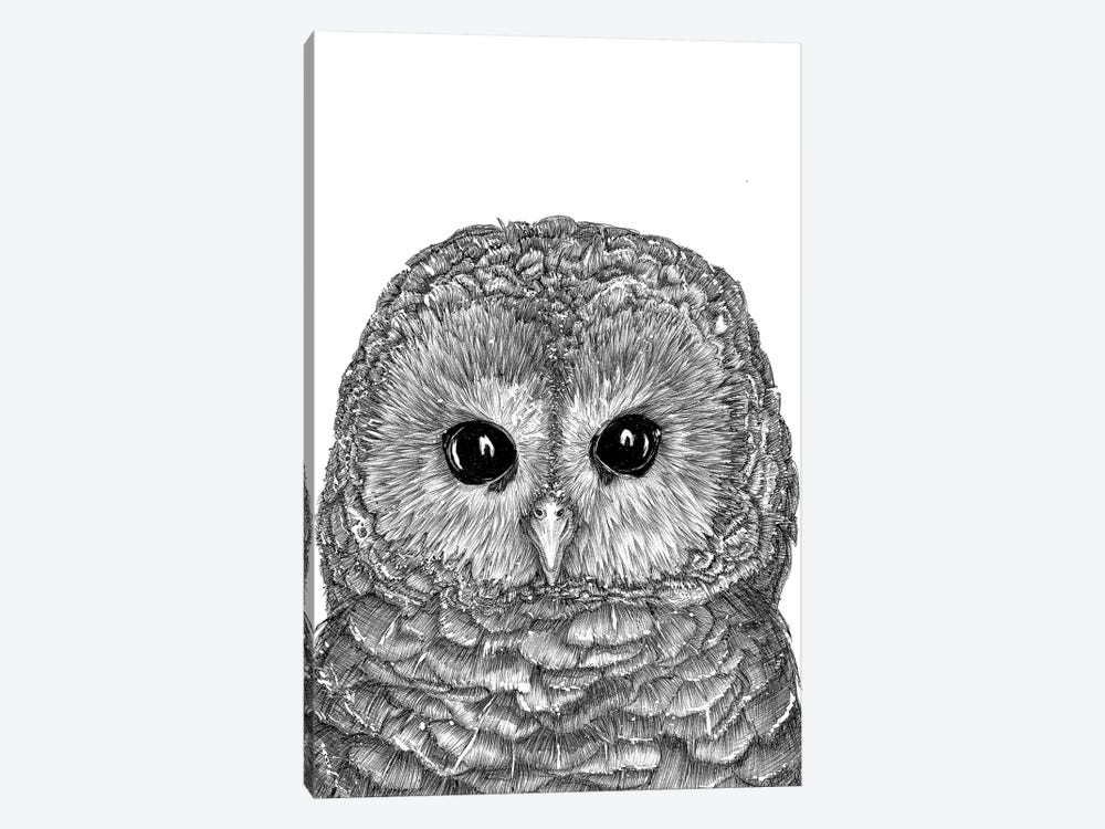 Tiny Owl by Ella Mazur 1-piece Canvas Art Print