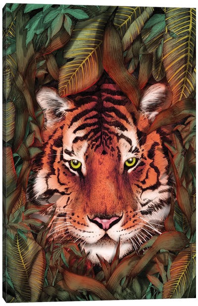 Jungle Tiger Majesty Colour Canvas Art Print - Ella Mazur