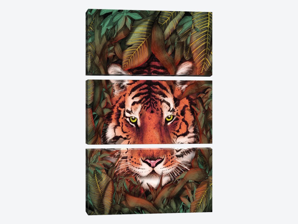 Jungle Tiger Majesty Colour by Ella Mazur 3-piece Art Print
