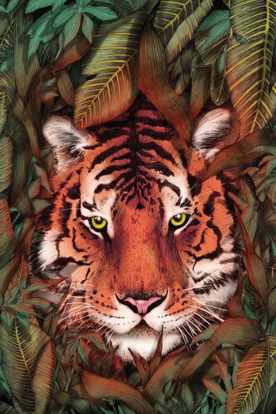 Jungles: Jungle Tiger Majesty Colour by Ella Mazur