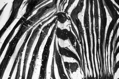 Stripes The Zebra by Ella Mazur framed wall art