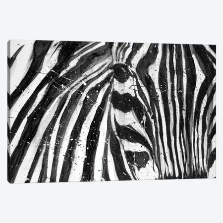 Stripes The Zebra Canvas Print #EMZ66} by Ella Mazur Canvas Art Print