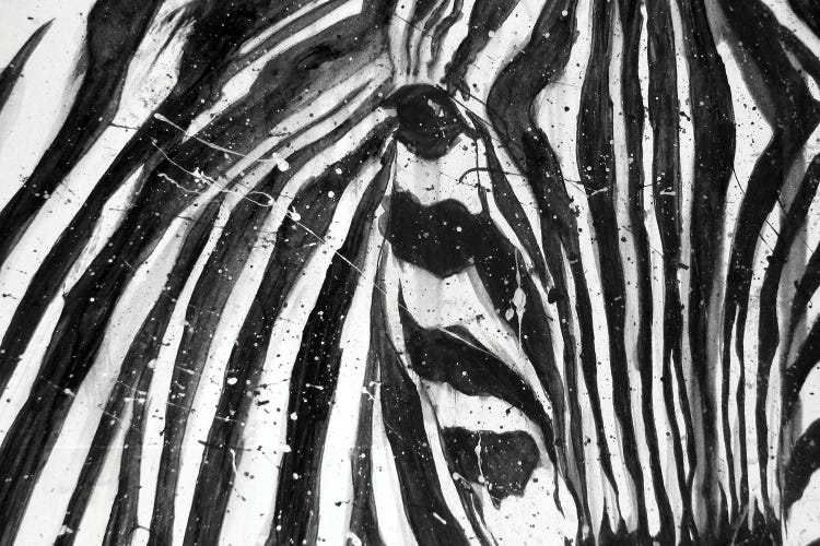 Stripes The Zebra