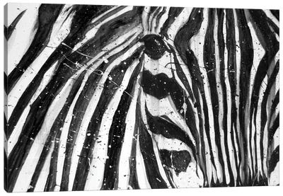 Stripes The Zebra Canvas Art Print - Ella Mazur