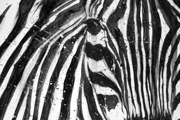 Zebras: Stripes The Zebra by Ella Mazur