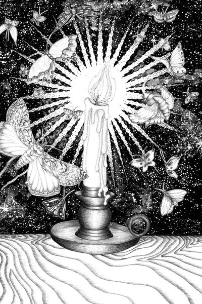 Moths: Dance Of The Moths by Ella Mazur