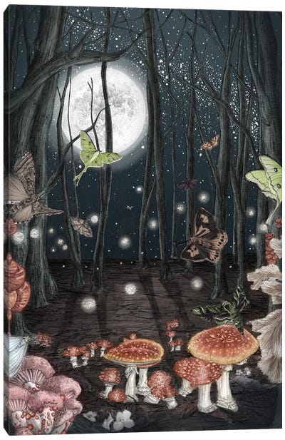 Midnight Magic Color Version Canvas Art Print - Mushroom Art