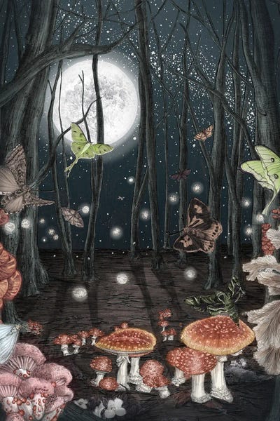 Moths: Midnight Magic Color Version by Ella Mazur