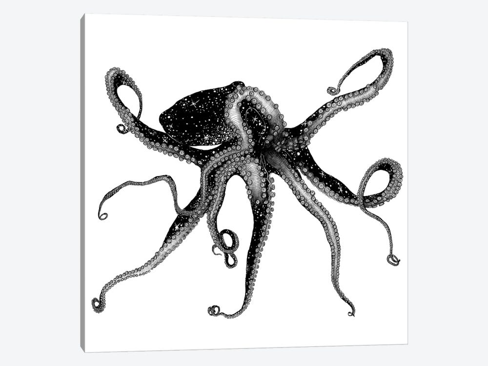 Cosmic Octopus by Ella Mazur 1-piece Canvas Print