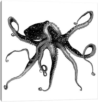 Cosmic Octopus Canvas Art Print - Ella Mazur