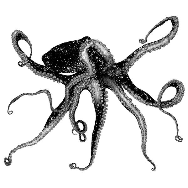 Octopi: Cosmic Octopus by Ella Mazur