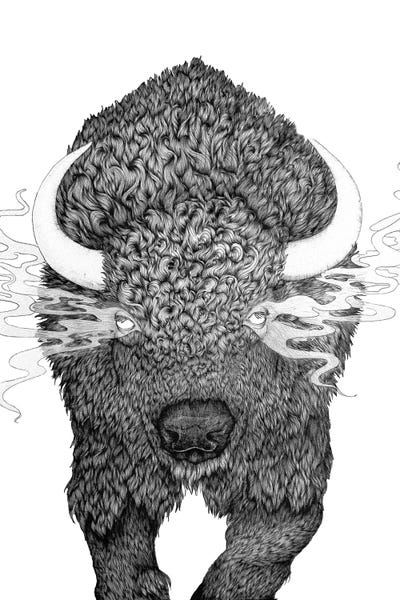 Bison & Buffaloes: The Ghosts Of Our Fathers by Ella Mazur