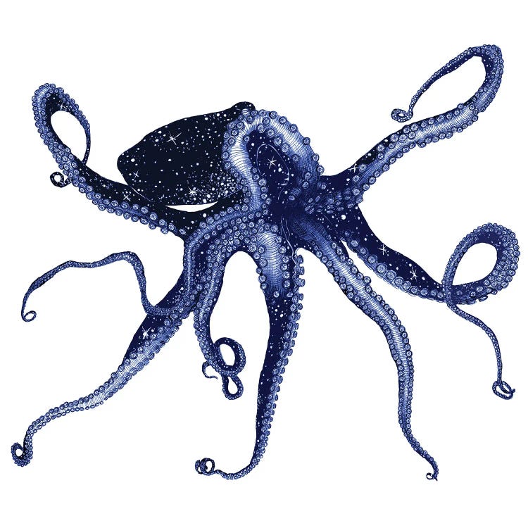 Cosmic Octopus Colour by Ella Mazur wall art