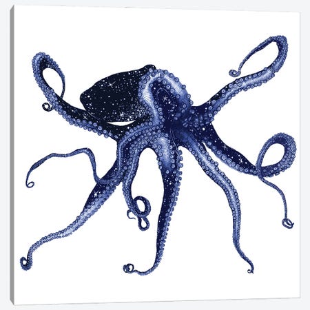 Cosmic Octopus Colour Canvas Print #EMZ72} by Ella Mazur Canvas Art Print