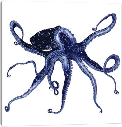 Cosmic Octopus Colour Canvas Art Print - Embellished Animals