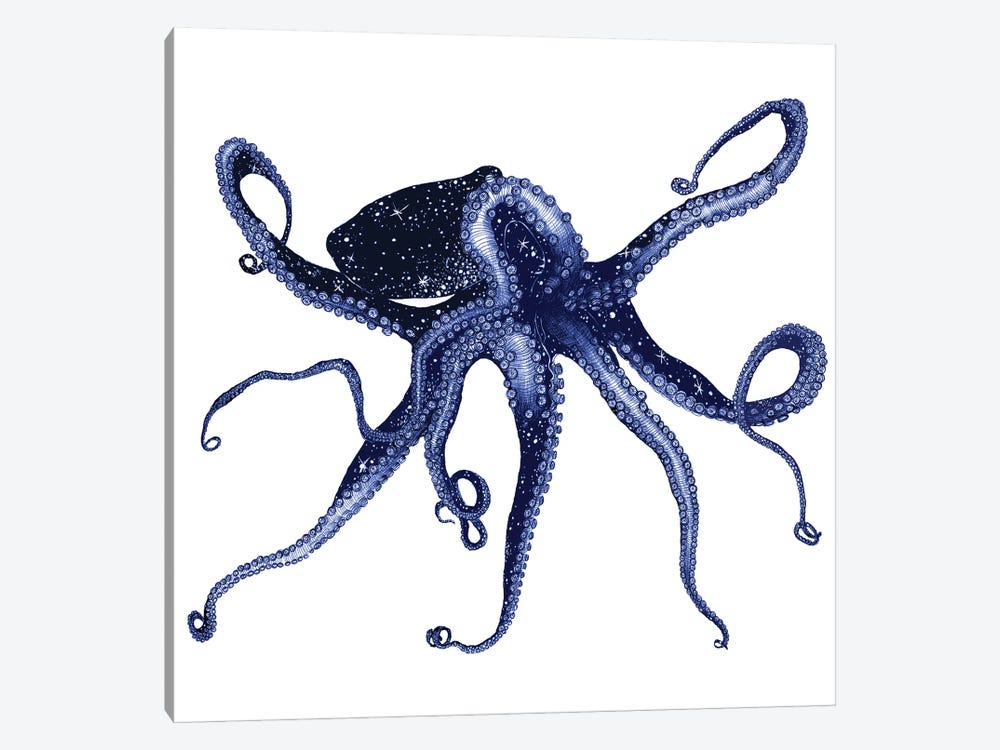 Cosmic Octopus Colour by Ella Mazur 1-piece Canvas Print