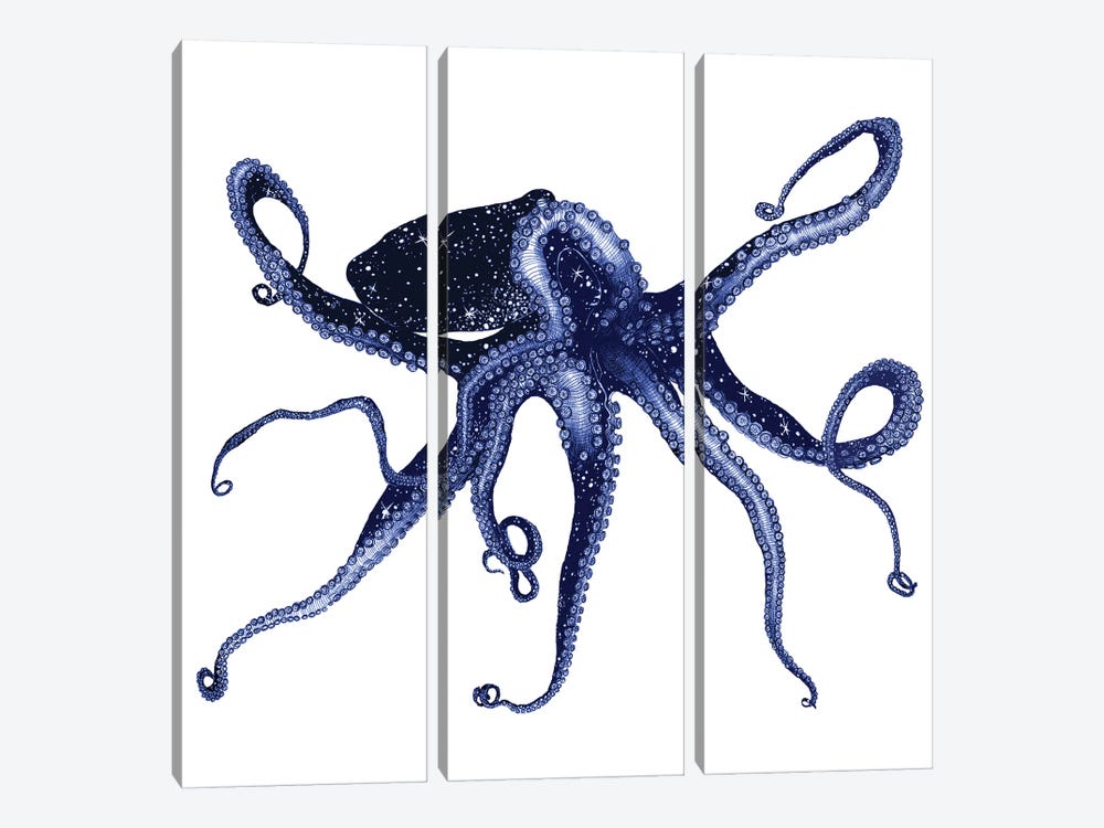 Cosmic Octopus Colour by Ella Mazur 3-piece Canvas Art Print