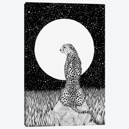Cheetah Moon Canvas Print #EMZ73} by Ella Mazur Art Print