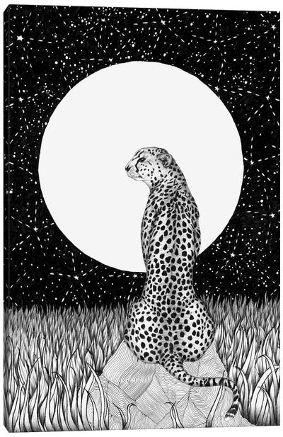 Cheetah Moon Canvas Art Print - Ella Mazur