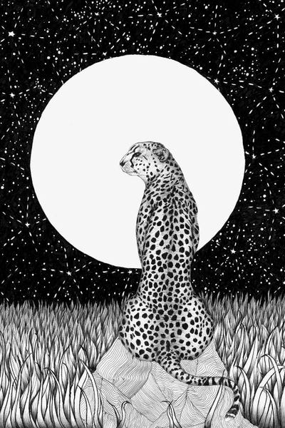 Cheetahs: Cheetah Moon by Ella Mazur