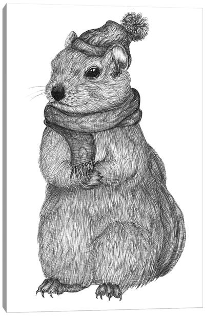 Chipmunk On A Chilly Day Canvas Art Print