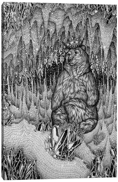 Cave Of The Bear King Canvas Art Print - Ella Mazur