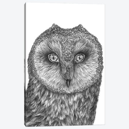 Little Barn Owl Canvas Print #EMZ76} by Ella Mazur Canvas Artwork