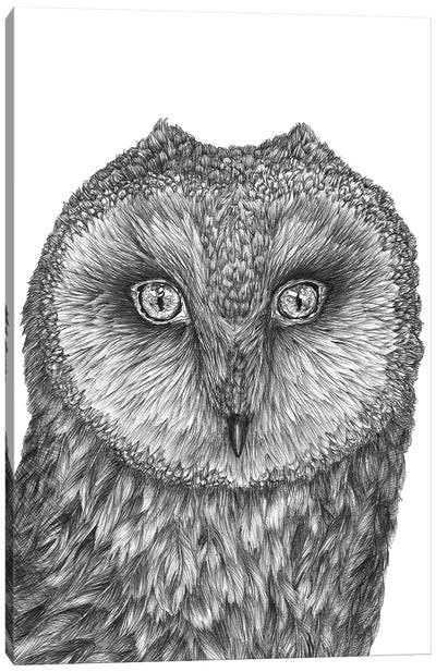 Little Barn Owl Canvas Art Print - Ella Mazur