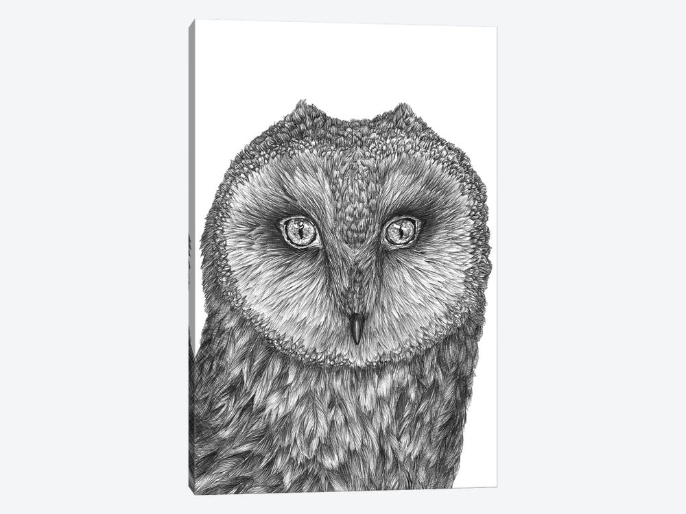 Little Barn Owl by Ella Mazur 1-piece Art Print
