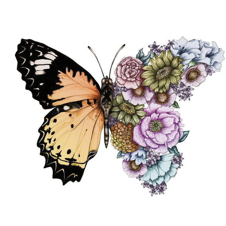 Butterfly In Bloom Colour by Ella Mazur wall art