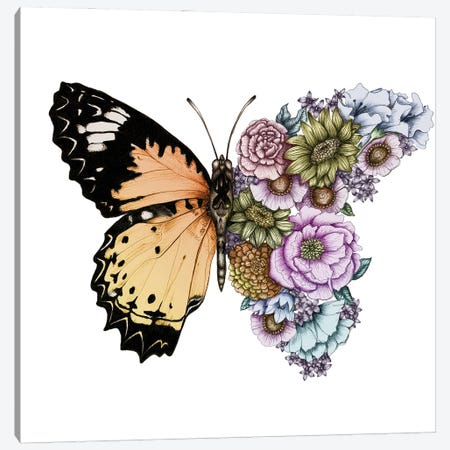 Butterfly In Bloom Colour Canvas Print #EMZ79} by Ella Mazur Canvas Art Print