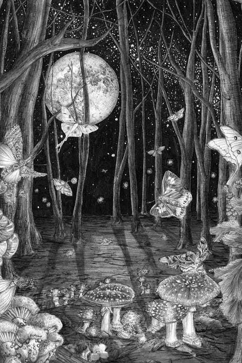 Midnight Magic by Ella Mazur wall art