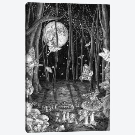 Midnight Magic Canvas Print #EMZ7} by Ella Mazur Canvas Wall Art