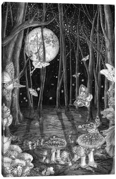 Midnight Magic Canvas Art Print - Natural Meets Mythical