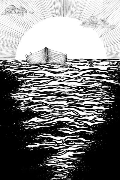 Rowboats: Abandoned To The Sun by Ella Mazur