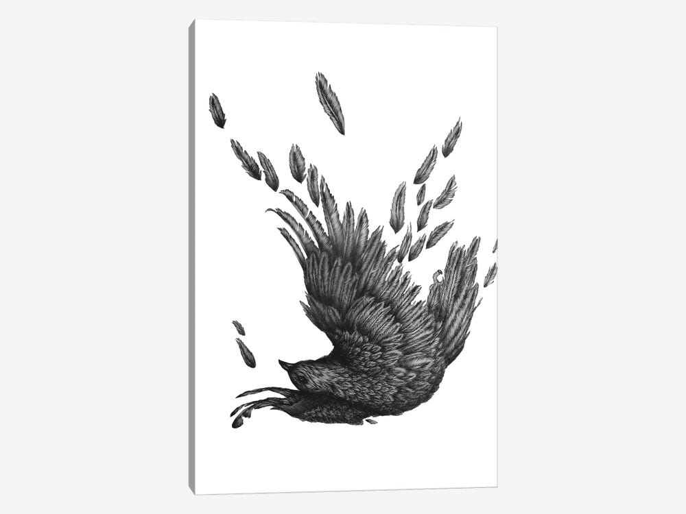 Raven Unravelled by Ella Mazur 1-piece Canvas Print