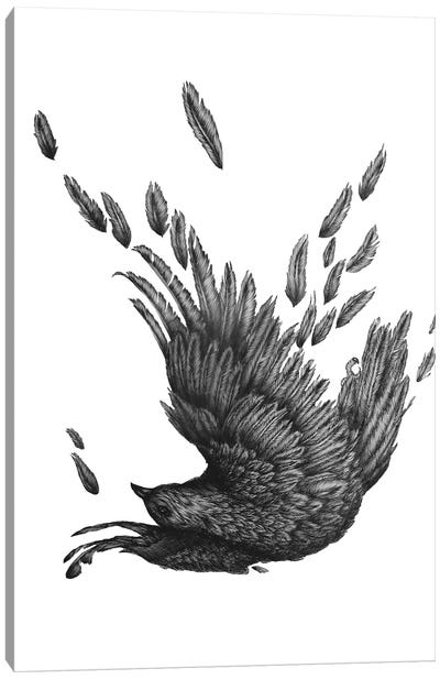 Raven Unravelled Canvas Art Print - Raven Art