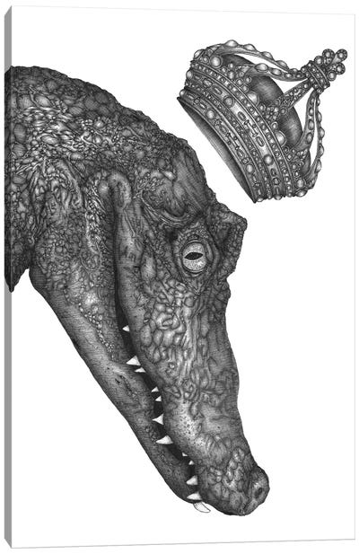 The Alligator King Canvas Art Print - Crocodile & Alligator Art