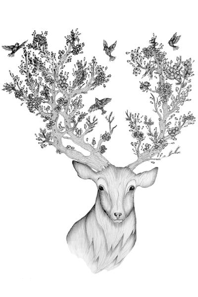 The Natural Progression by Ella Mazur framed wall art