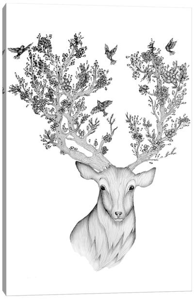 The Natural Progression Canvas Art Print - Embellished Animals