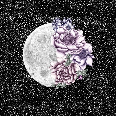 Moon Abloom Colour by Ella Mazur framed wall art