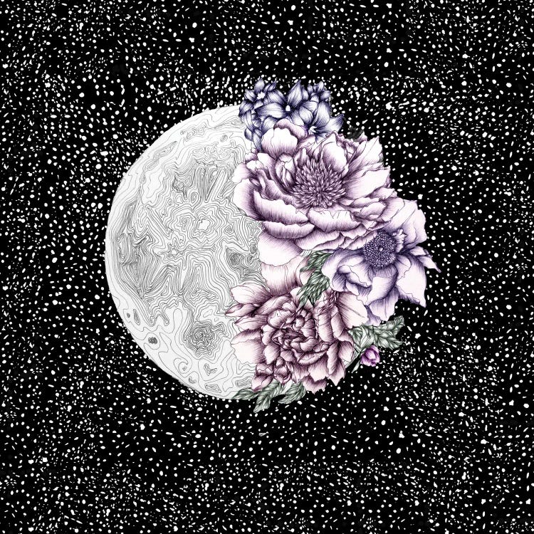 Moon Abloom Colour by Ella Mazur wall art