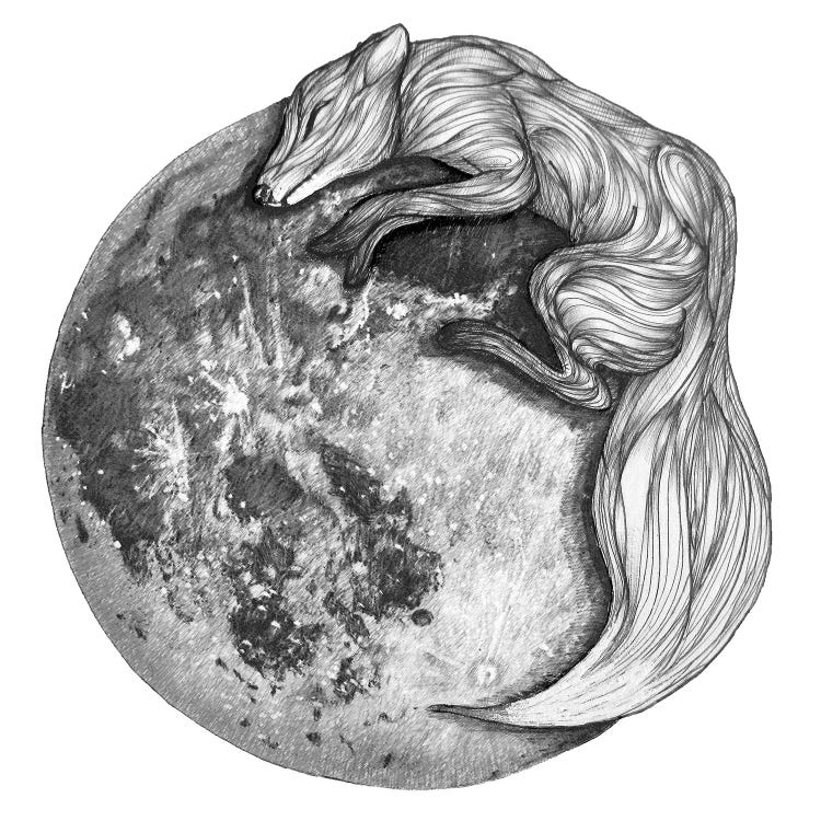 Moon Fox